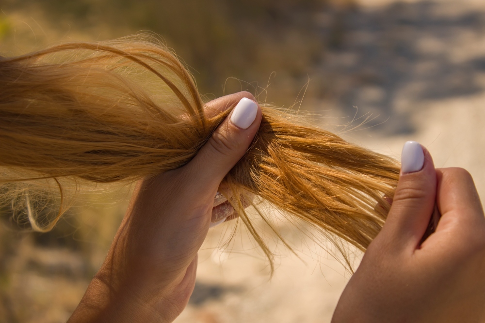 ako rozpoznať suché vlasy